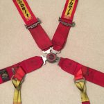 World Champions Harnesses